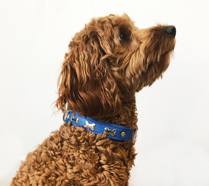 Rotterdam Bones Dog Collar: Timeless Style for Your Furry Companion