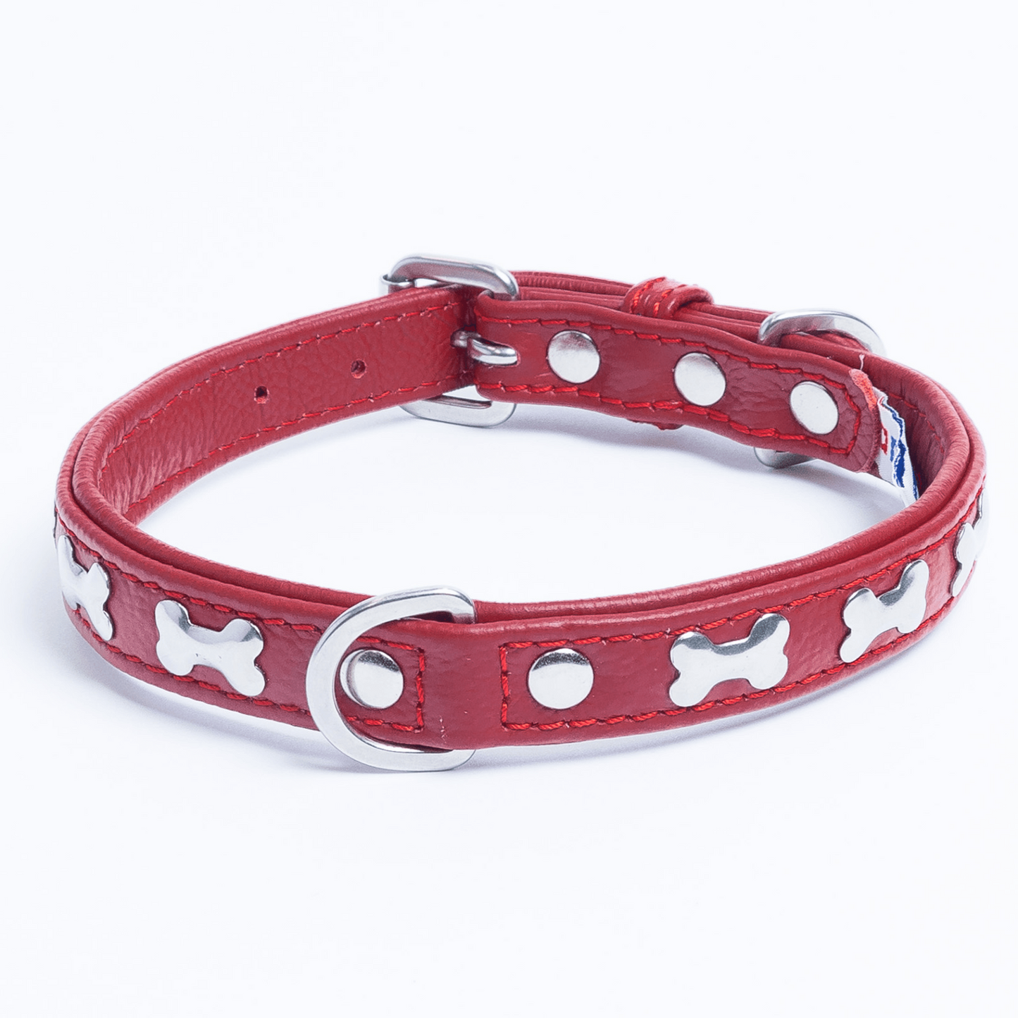 Rotterdam Bones Dog Collar: Timeless Style for Your Furry Companion