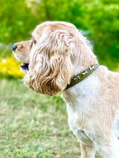 Rotterdam Bones Dog Collar: Timeless Style for Your Furry Companion