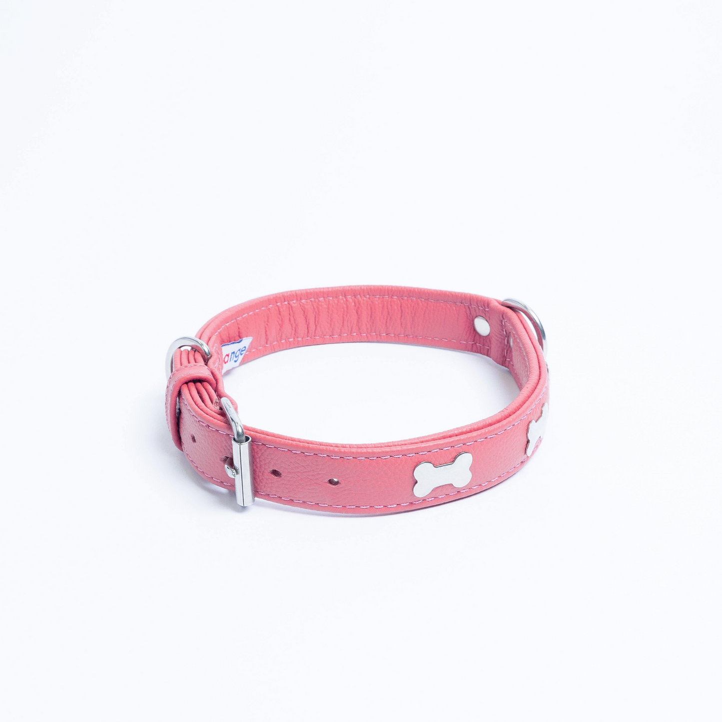 Rotterdam Bones Dog Collar: Timeless Style for Your Furry Companion