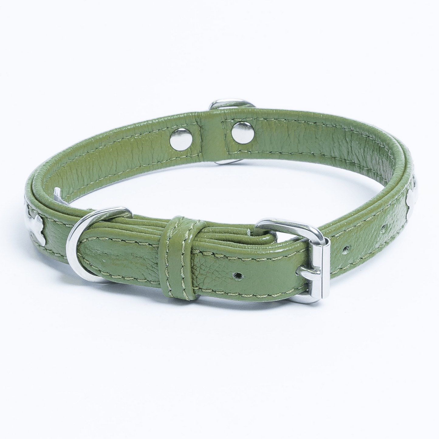 Rotterdam Bones Dog Collar: Timeless Style for Your Furry Companion