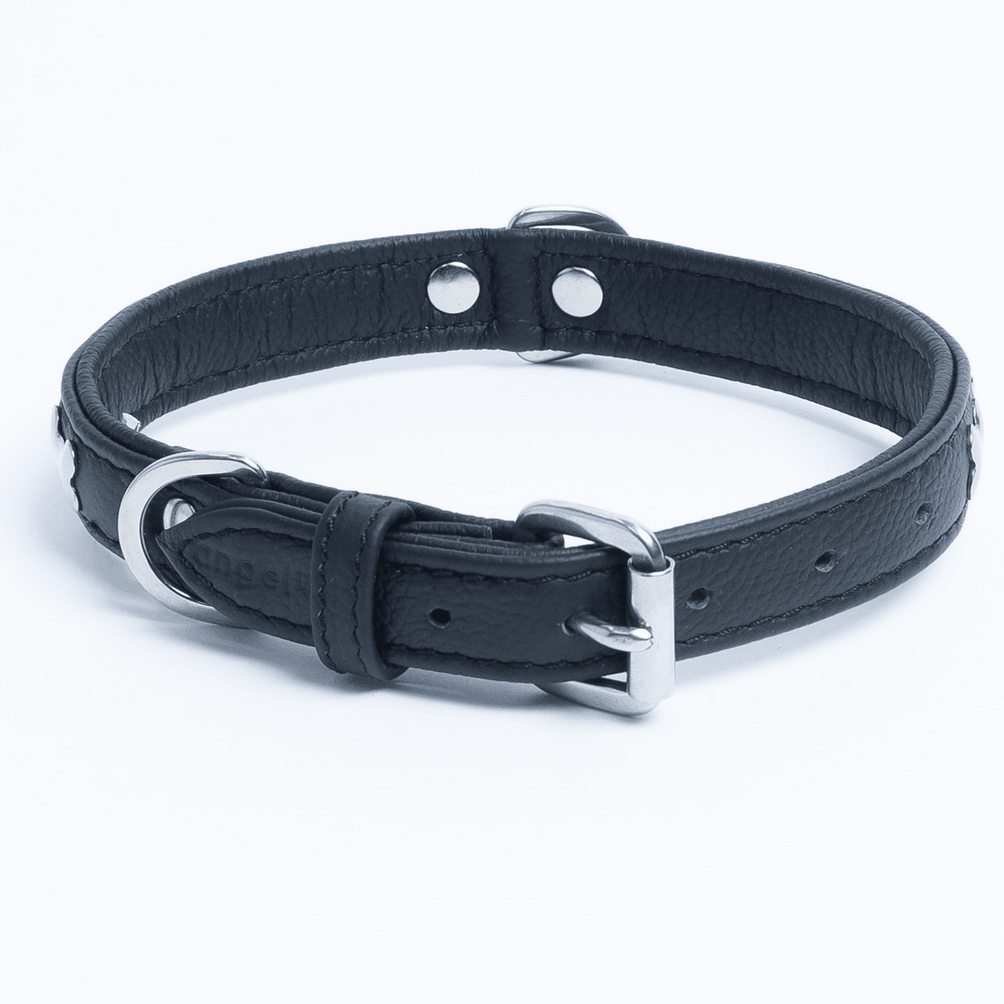 Rotterdam Bones Dog Collar: Timeless Style for Your Furry Companion