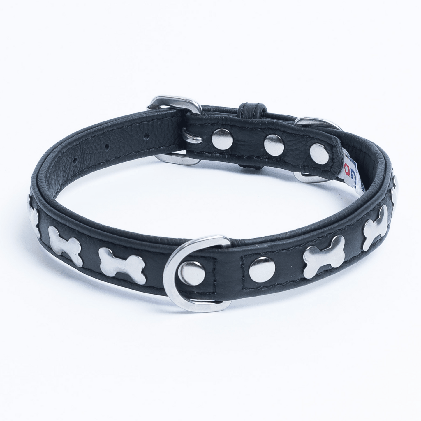 Rotterdam Bones Dog Collar: Timeless Style for Your Furry Companion