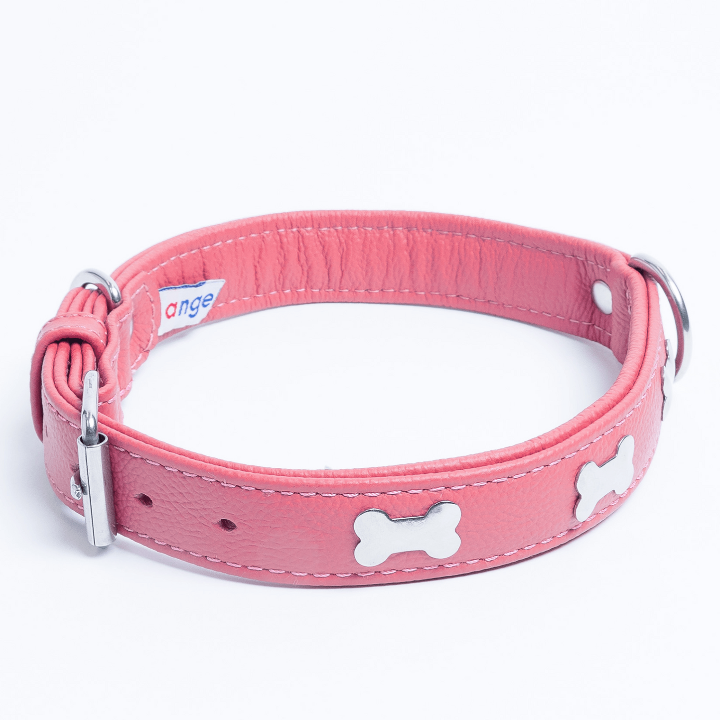 Rotterdam Bones Dog Collar: Timeless Style for Your Furry Companion