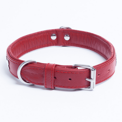 Rotterdam Bones Dog Collar: Timeless Style for Your Furry Companion