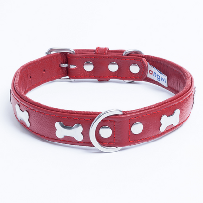 Rotterdam Bones Dog Collar: Timeless Style for Your Furry Companion