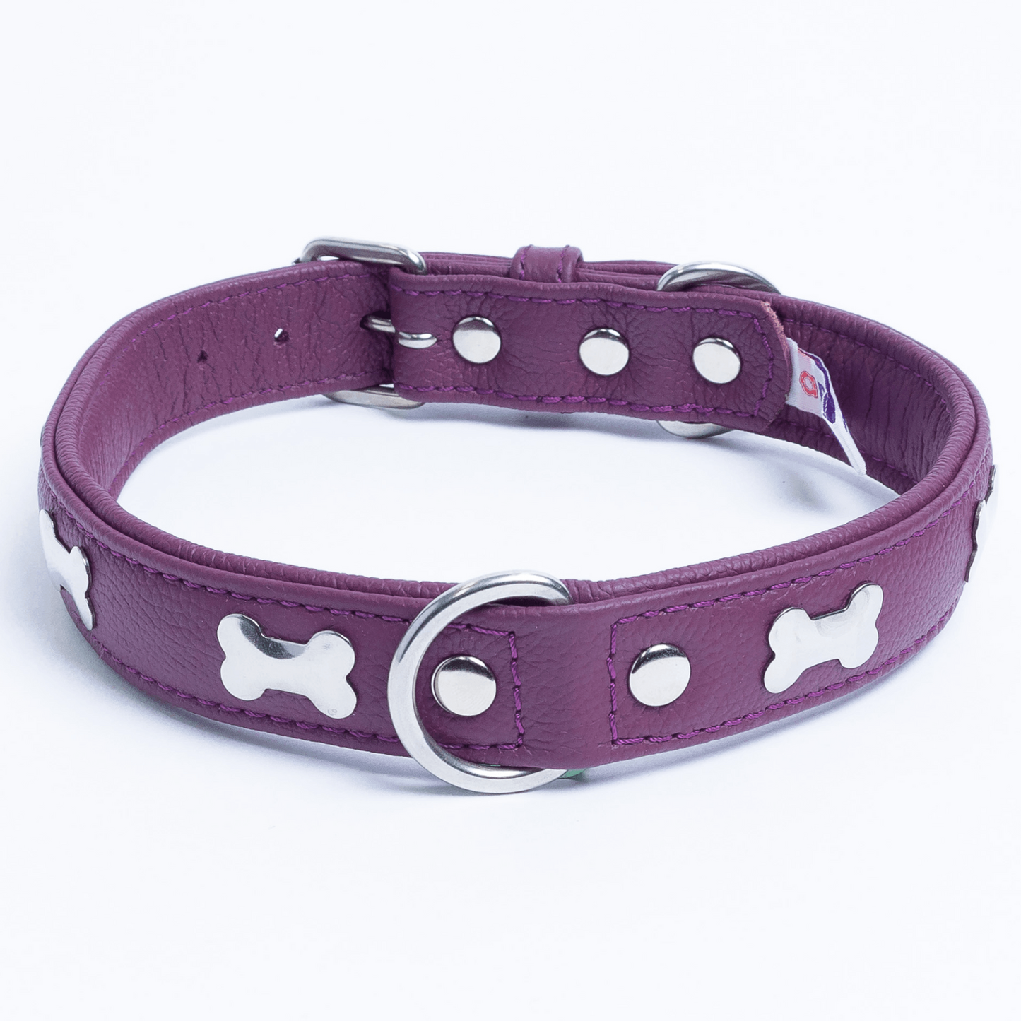 Rotterdam Bones Dog Collar: Timeless Style for Your Furry Companion