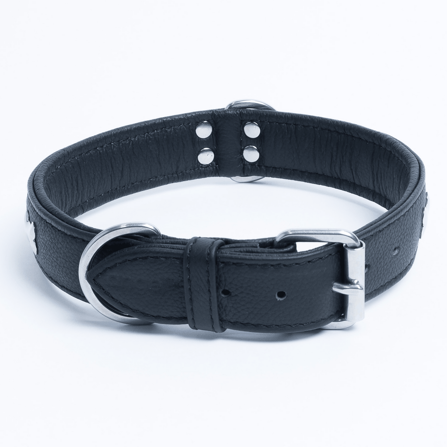 Rotterdam Bones Dog Collar: Timeless Style for Your Furry Companion