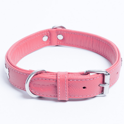 Rotterdam Bones Dog Collar: Timeless Style for Your Furry Companion