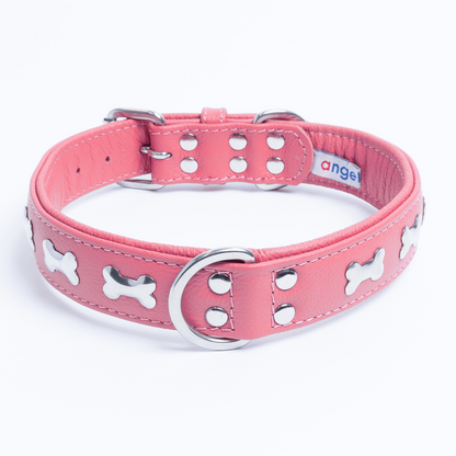 Rotterdam Bones Dog Collar: Timeless Style for Your Furry Companion