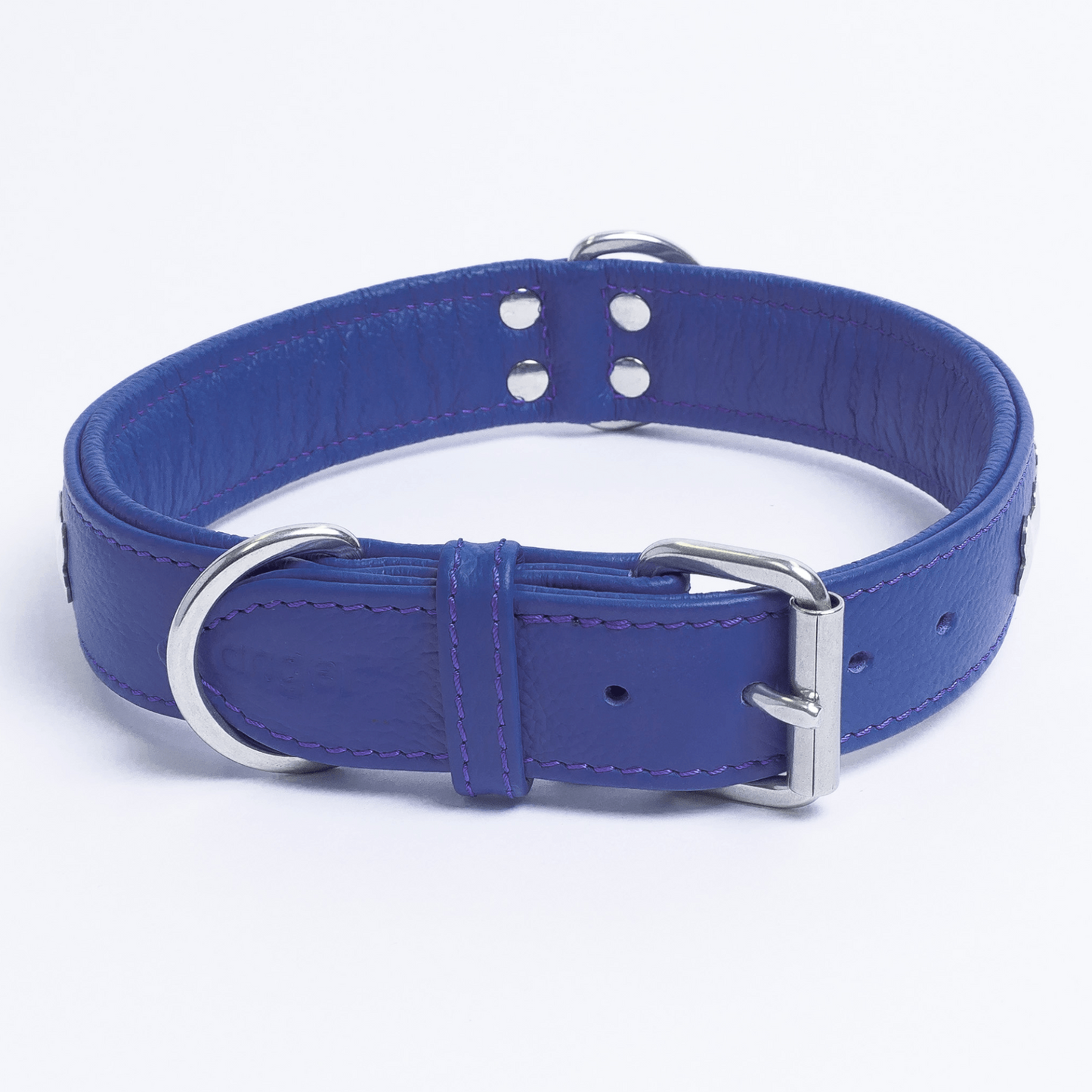 Rotterdam Bones Dog Collar: Timeless Style for Your Furry Companion