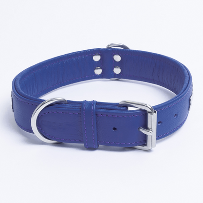 Rotterdam Bones Dog Collar: Timeless Style for Your Furry Companion