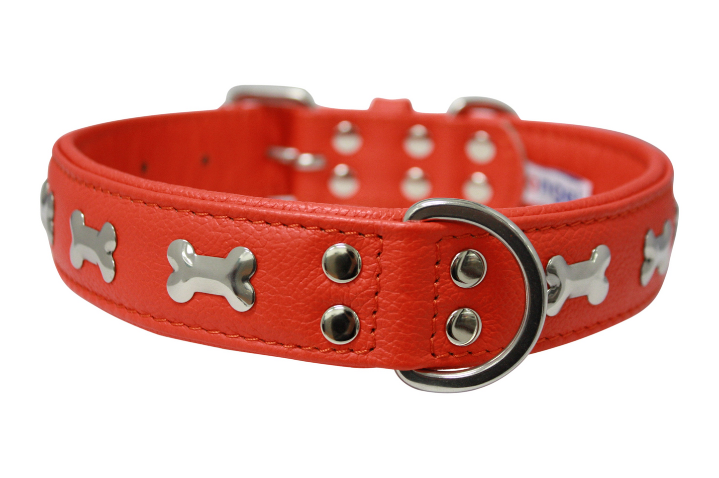 Rotterdam Bones Dog Collar: Timeless Style for Your Furry Companion