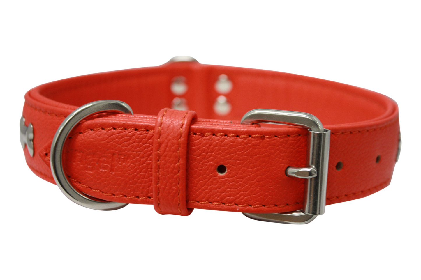 Rotterdam Bones Dog Collar: Timeless Style for Your Furry Companion