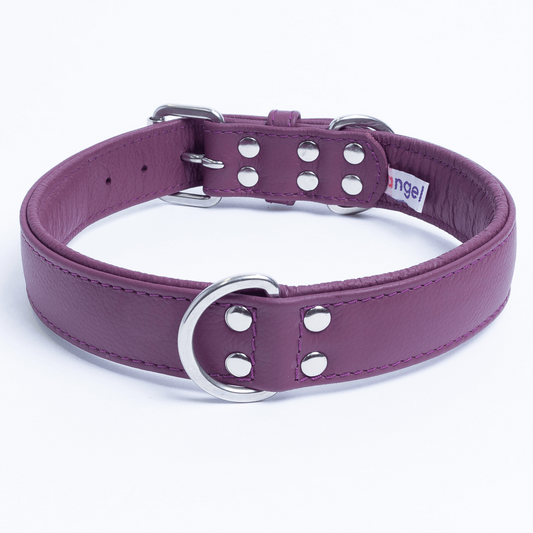 Alpine Dog Collar