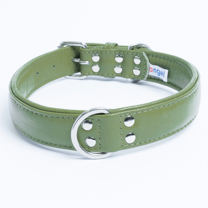 Alpine Dog Collar