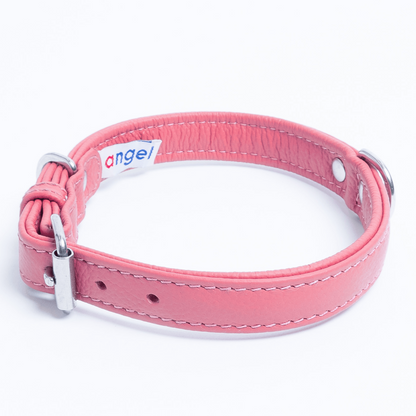 Alpine Dog Collar