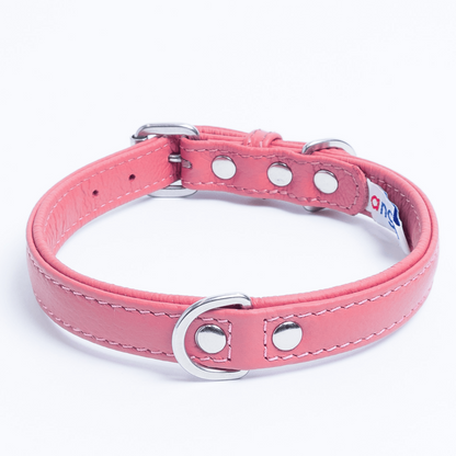 Alpine Dog Collar