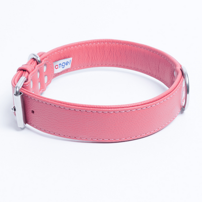 Alpine Dog Collar