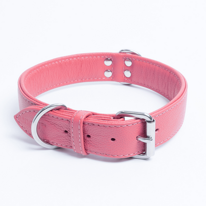 Alpine Dog Collar