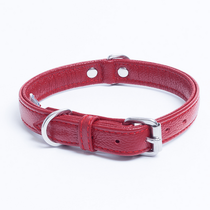 Alpine Dog Collar