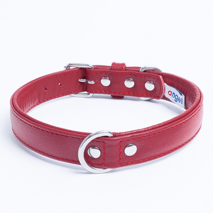 Alpine Dog Collar