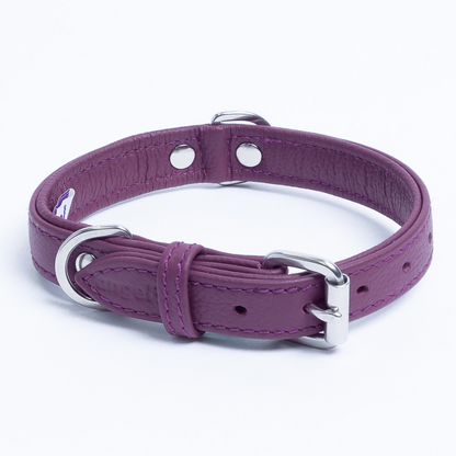 Alpine Dog Collar