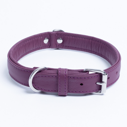 Alpine Dog Collar