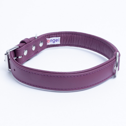 Alpine Dog Collar