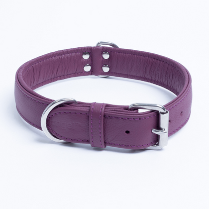 Alpine Dog Collar