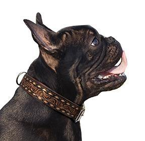 Tucson Dog Collar: A Masterpiece of Elegance and Craftsmanship