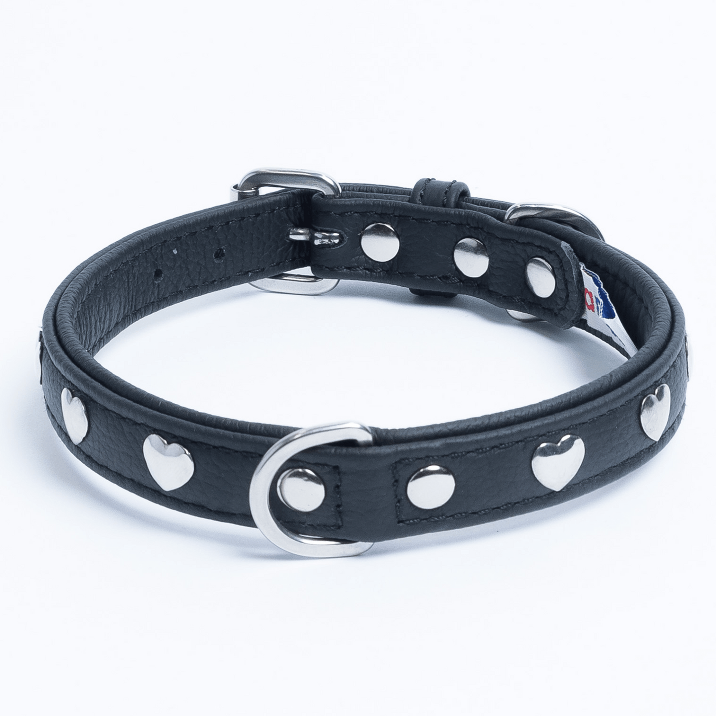 Rotterdam Hearts Dog Collar: Make a Statement with Style and Love