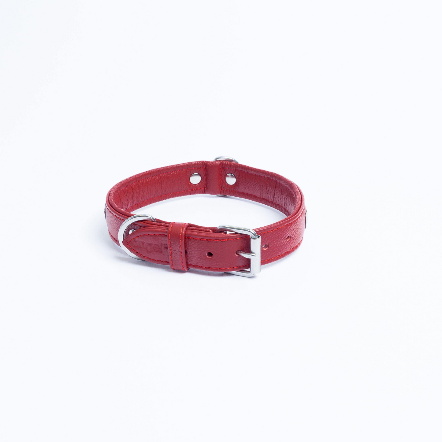 Rotterdam Hearts Dog Collar: Make a Statement with Style and Love