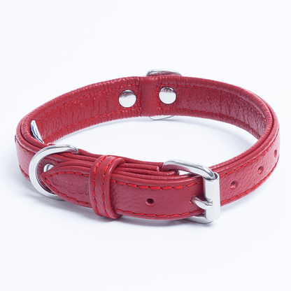 Rotterdam Hearts Dog Collar: Make a Statement with Style and Love