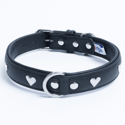 Rotterdam Hearts Dog Collar: Make a Statement with Style and Love