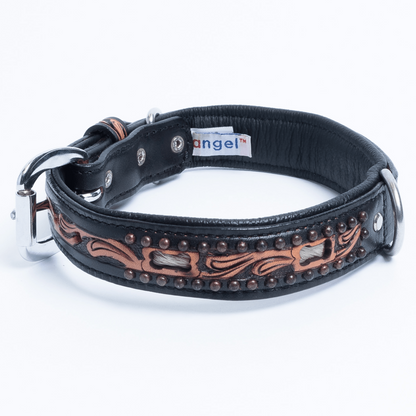 San Antonio Dog Collar