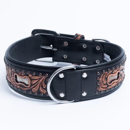 San Antonio Dog Collar