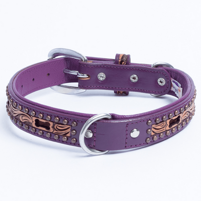 San Antonio Dog Collar