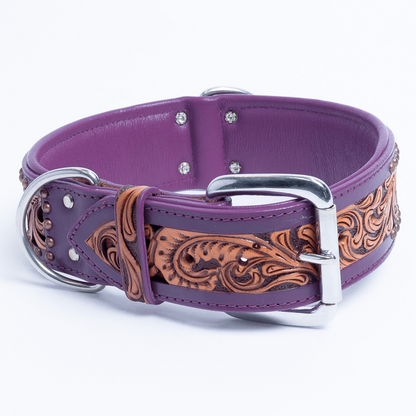 San Antonio Dog Collar