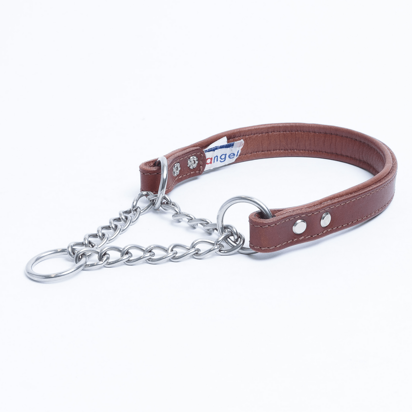 Rio Martingale Dog Collar