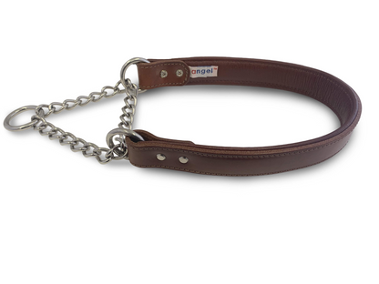 Rio Martingale Dog Collar