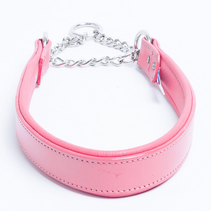 Rio Martingale Dog Collar