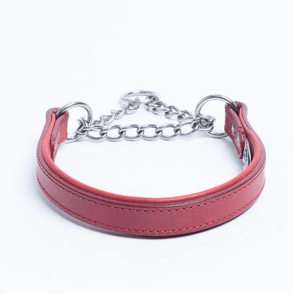 Rio Martingale Dog Collar