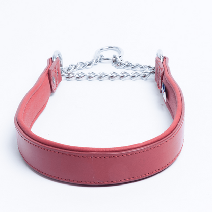 Rio Martingale Dog Collar