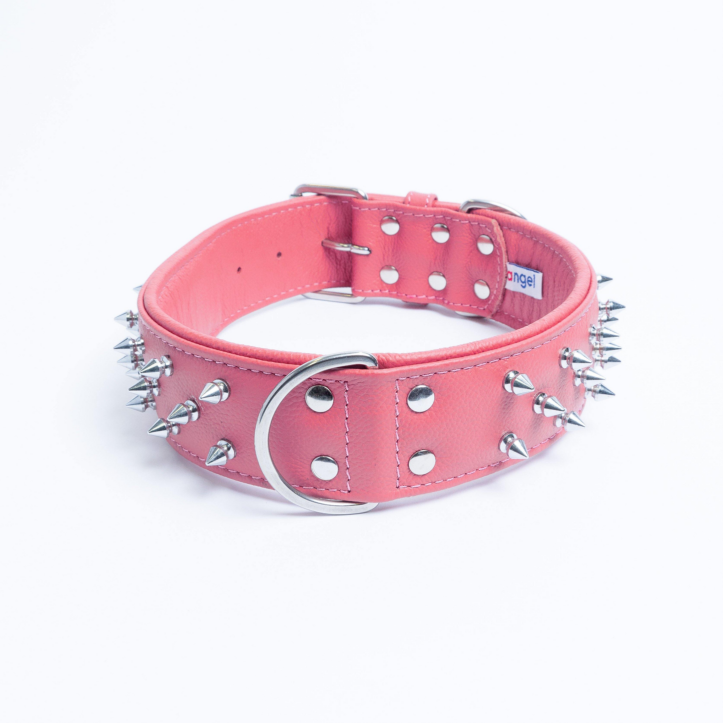 Amsterdam Spiked Dog Collars: Elevate Your Dog's Style