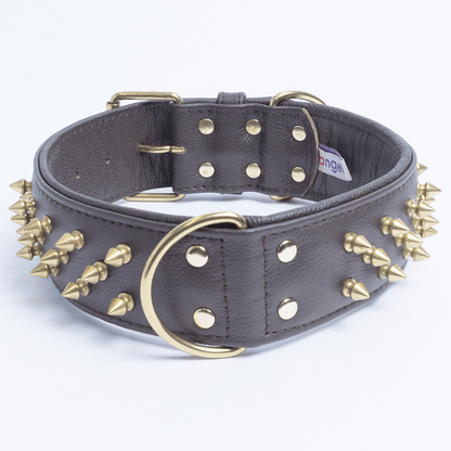 Amsterdam Spiked Dog Collars: Elevate Your Dog's Style