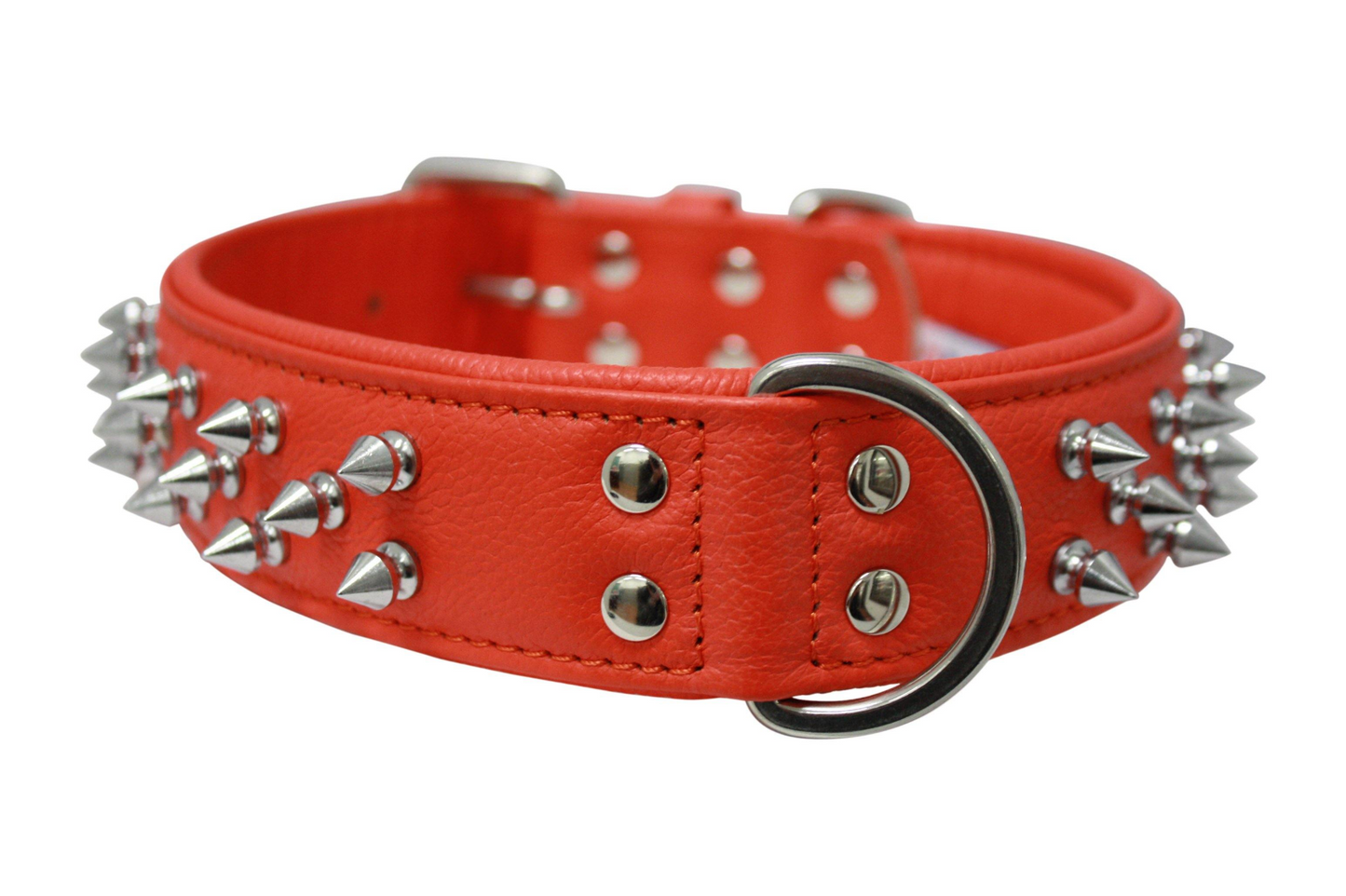 Amsterdam Spiked Dog Collars: Elevate Your Dog's Style