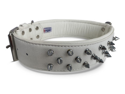 Amsterdam Spiked Dog Collars: Elevate Your Dog's Style