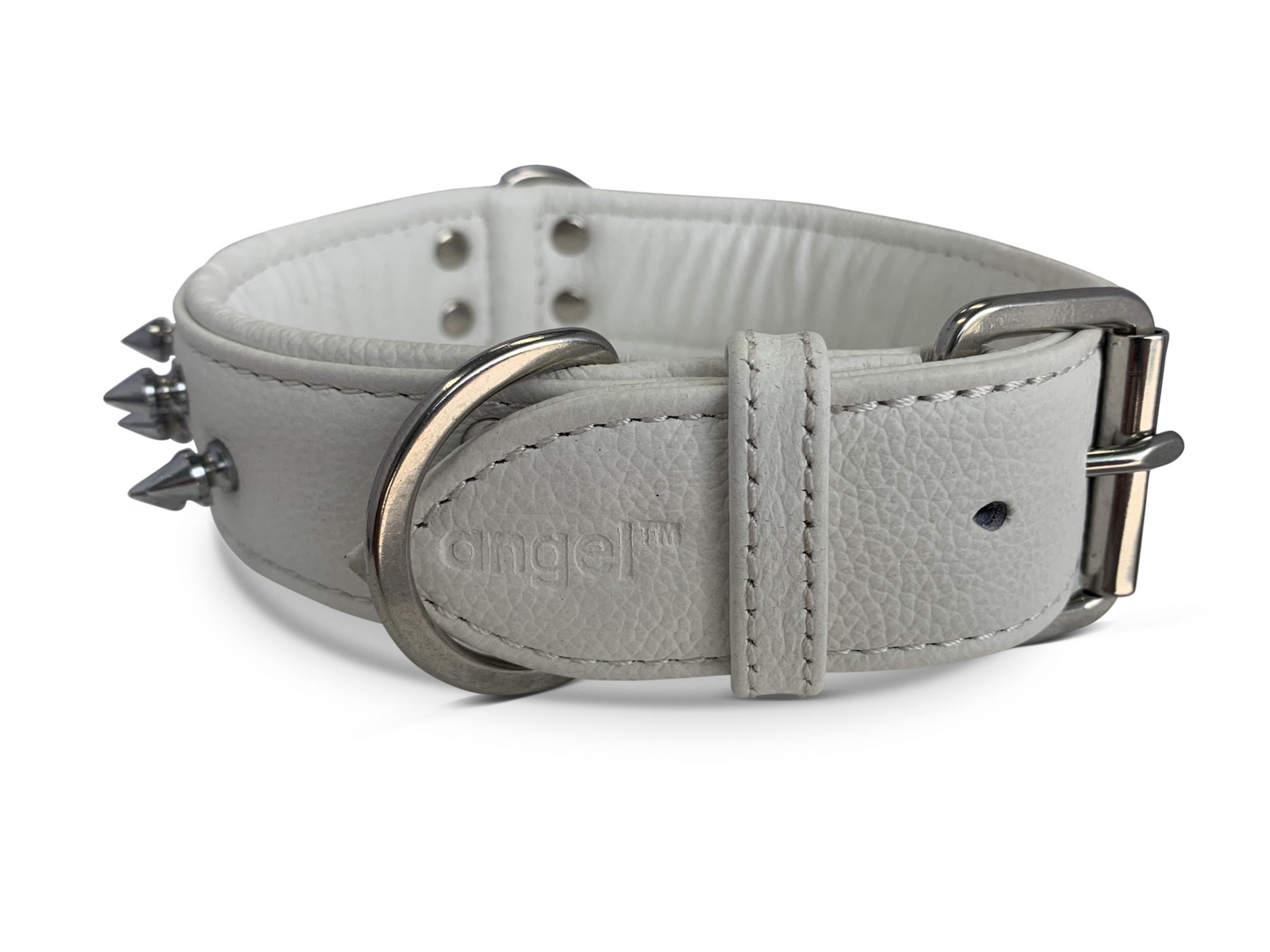 Amsterdam Spiked Dog Collars: Elevate Your Dog's Style