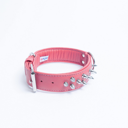 Amsterdam Spiked Dog Collars: Elevate Your Dog's Style